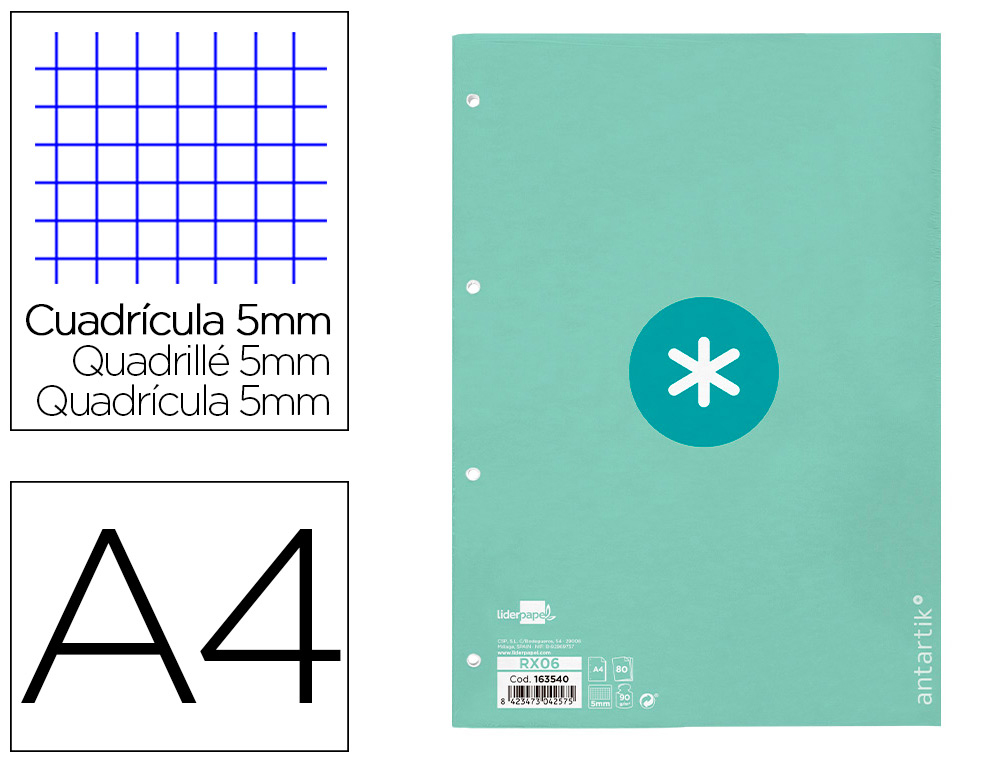 FEUILLET MOBILE LIDERPAPEL ANTARTIK A4 80 FEUILLES 100G  QUADRILLAGE 5MM 4 TROUS BORD  DE COULEUR MENTHE